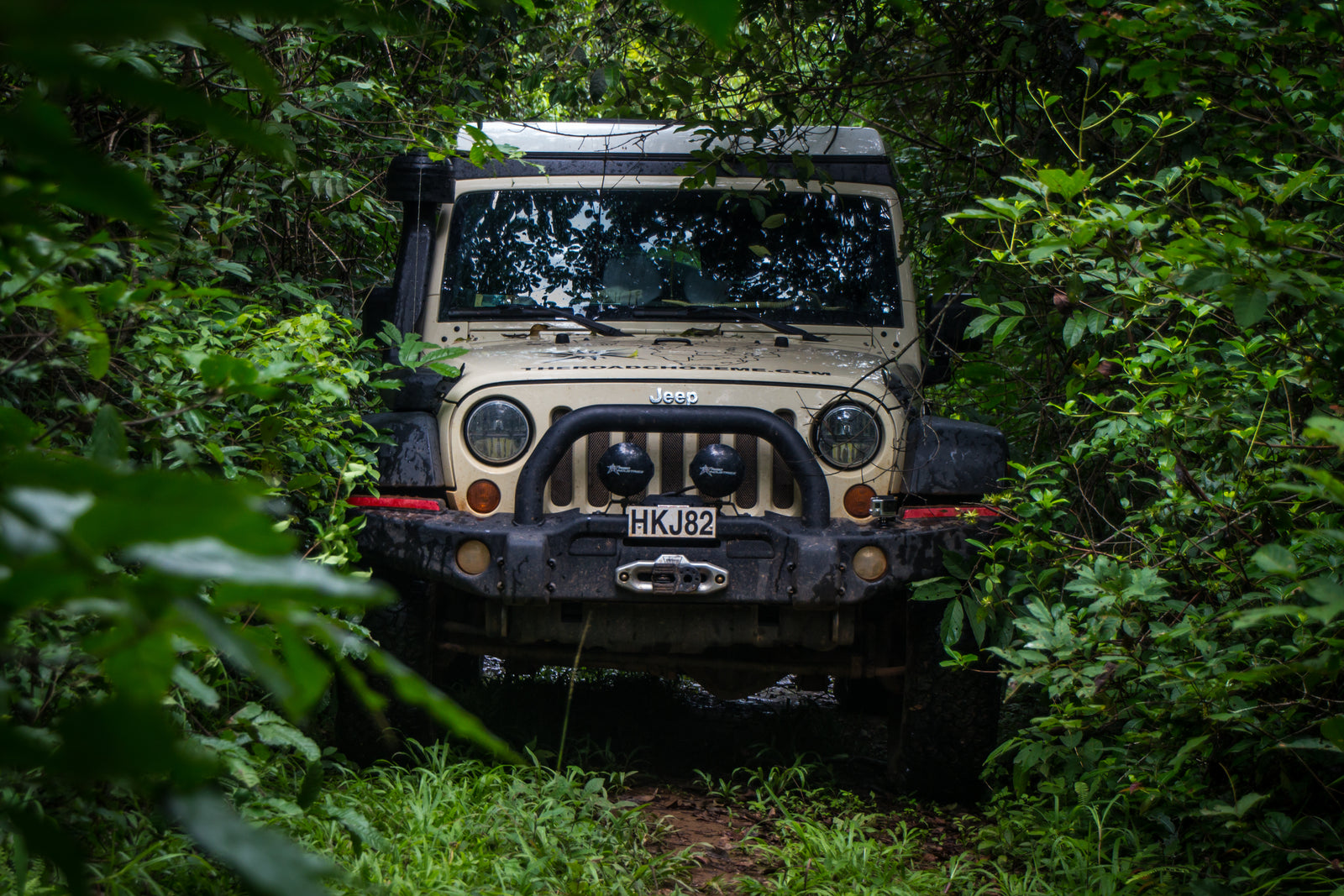 The Best Solar Panel Kit for Beginners