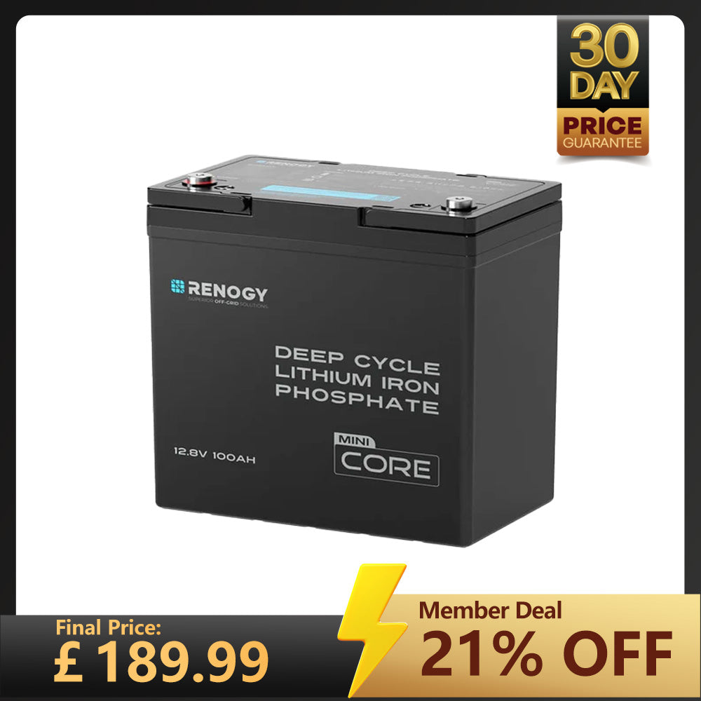 Core Mini- 12.8V 100Ah Lithium Iron Phosphate Battery