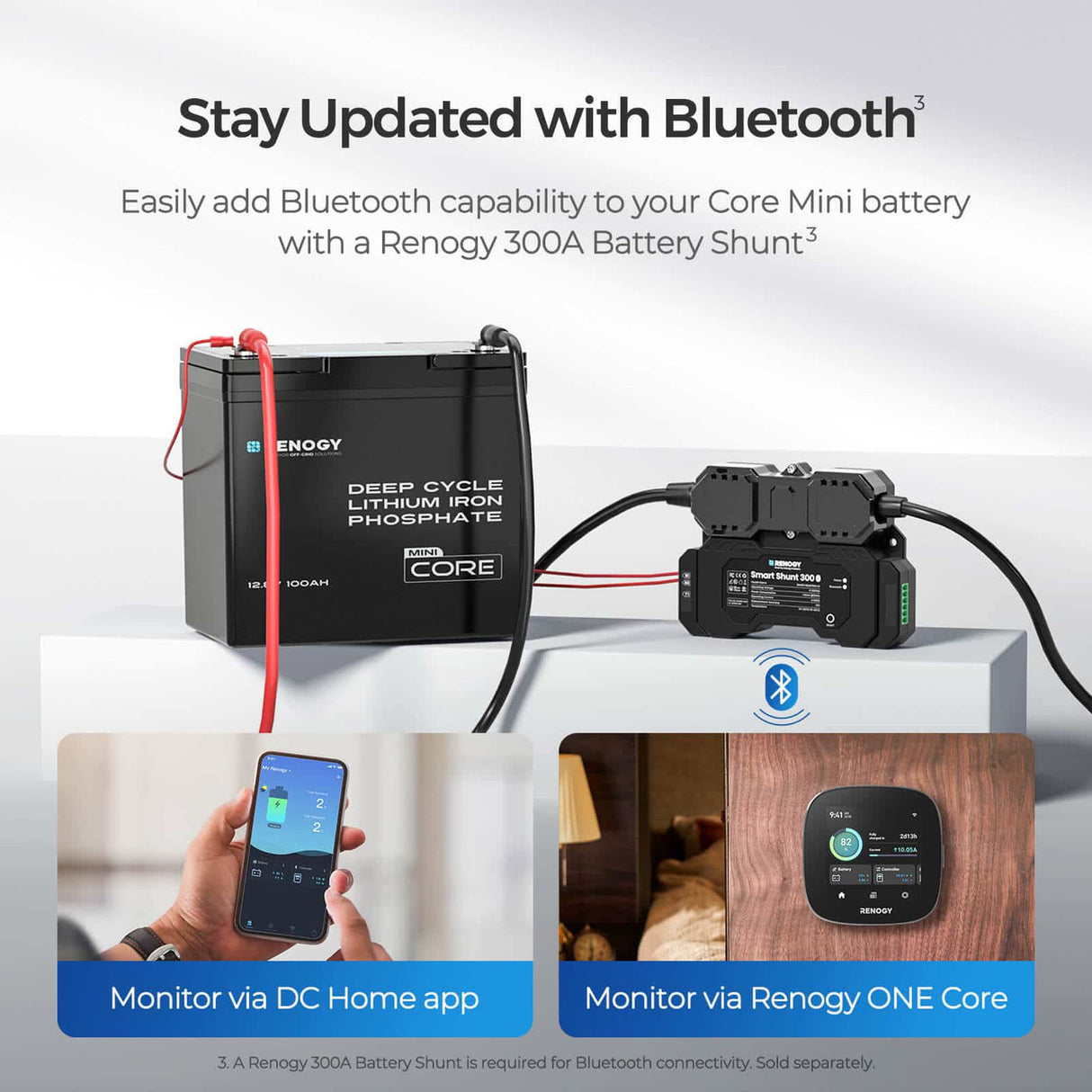 Core Mini - 12.8V 100Ah Lithium Iron Phosphate Battery