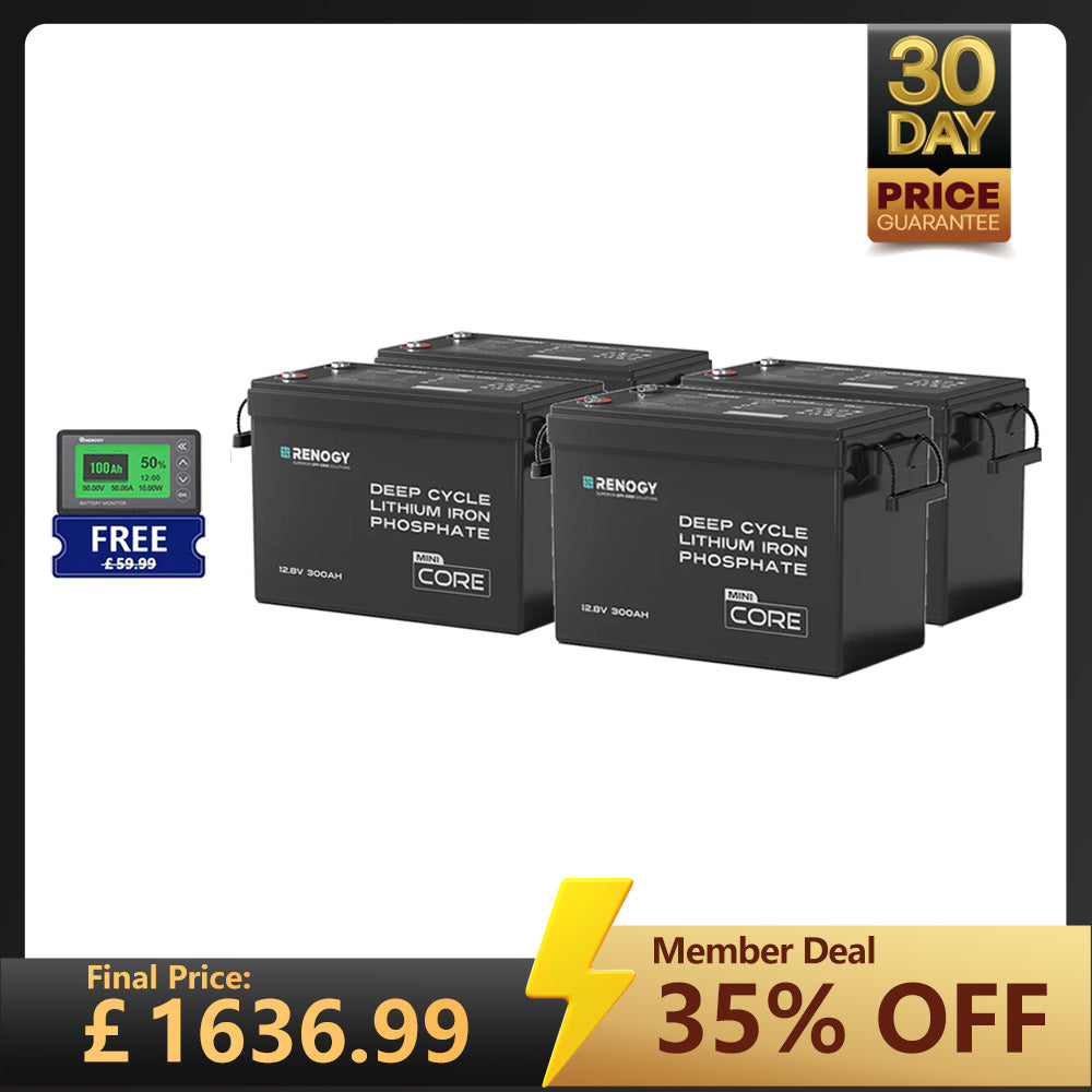 Core Mini - 12.8V Lithium Iron Phosphate Battery 300Ah / 200Ah / 100Ah