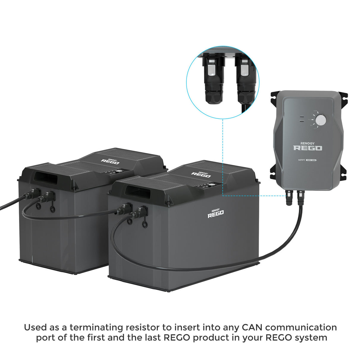 Renogy LP16 Terminator Plug (7-Pin) (RCA1TP-L67-UK)