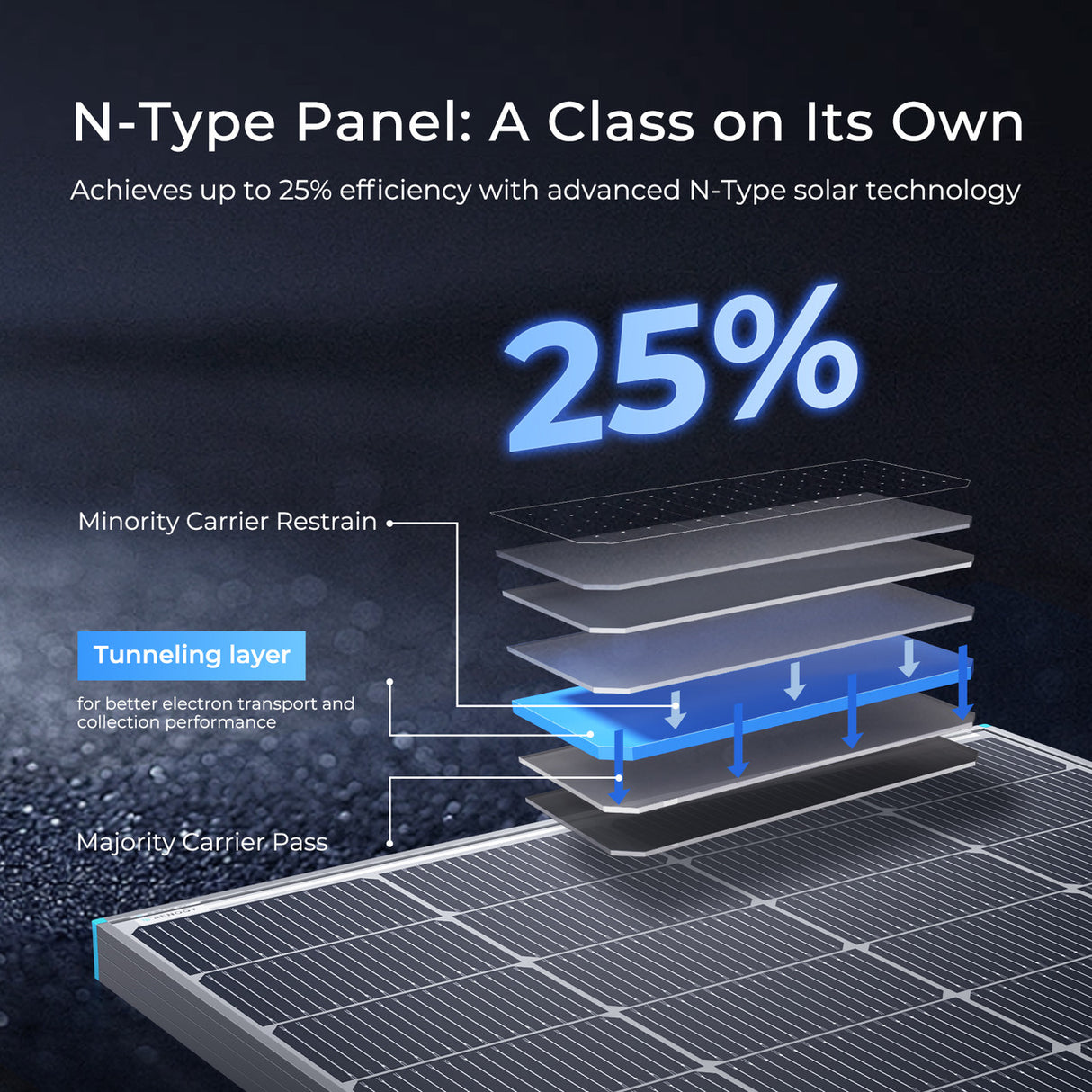16BB N-Type 250W Solar Panel