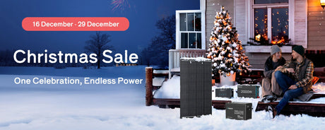 renogy christmas sale
