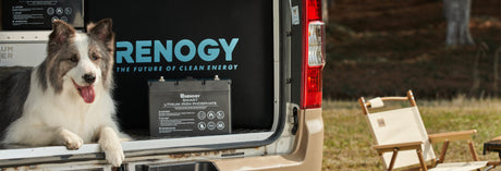 renogy battery storage for solar panels