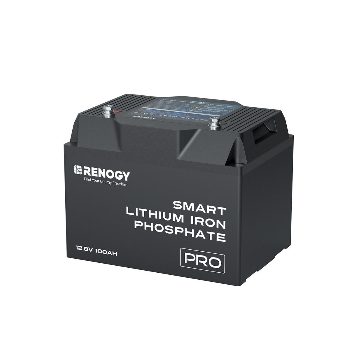 Pro-12V 24V 48V 100Ah Deep Cycle Lithium Iron Phosphate Battery