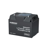 Pro-12V 24V 48V 100Ah Deep Cycle Lithium Iron Phosphate Battery