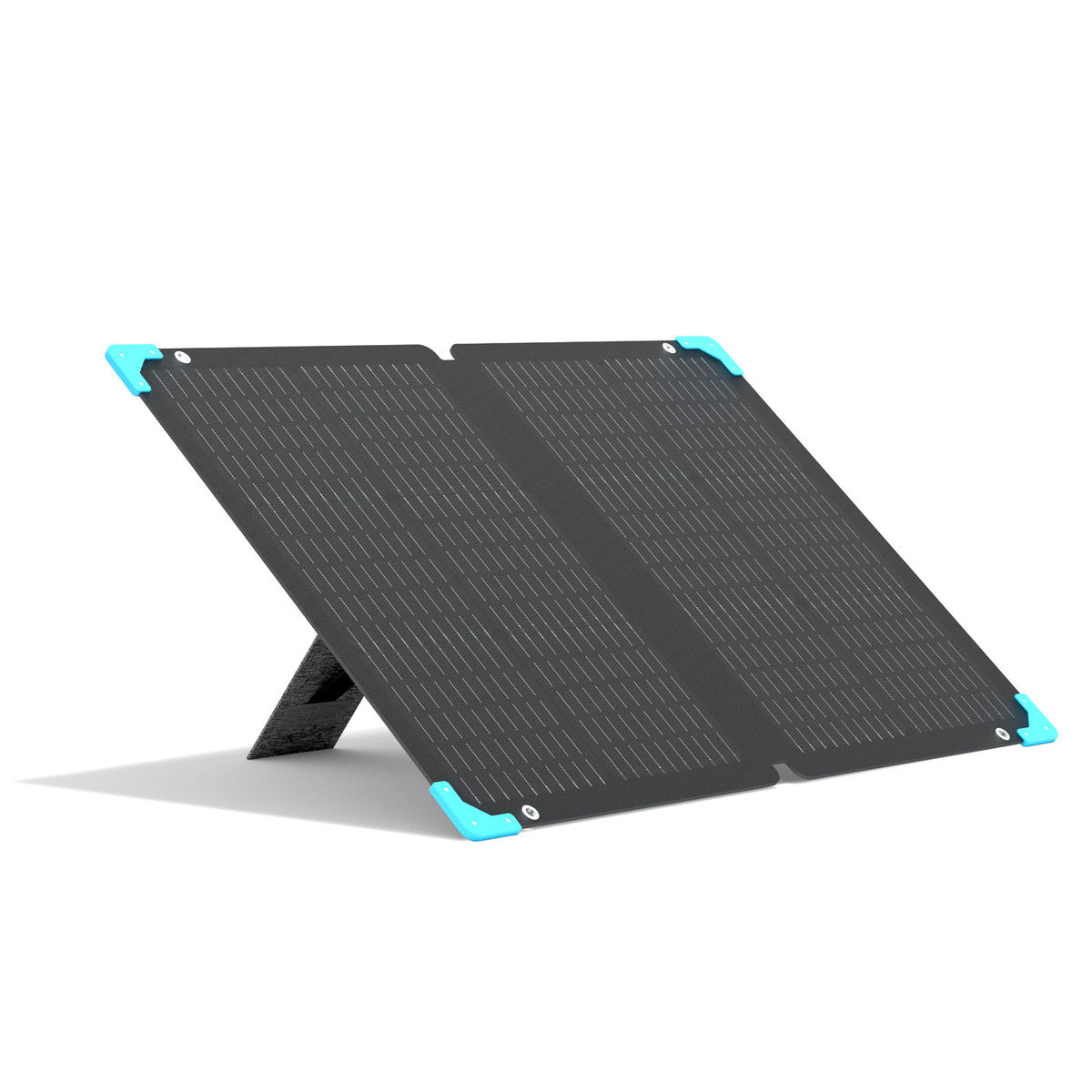 Renogy 80W 12V Portable Solar Panel for Power Station Mono