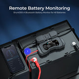 Battery Shunt 300