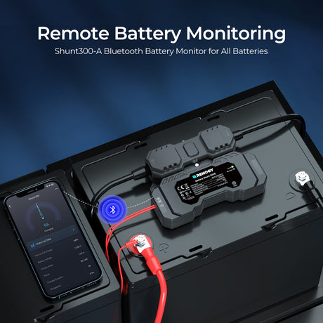 Battery Shunt 300