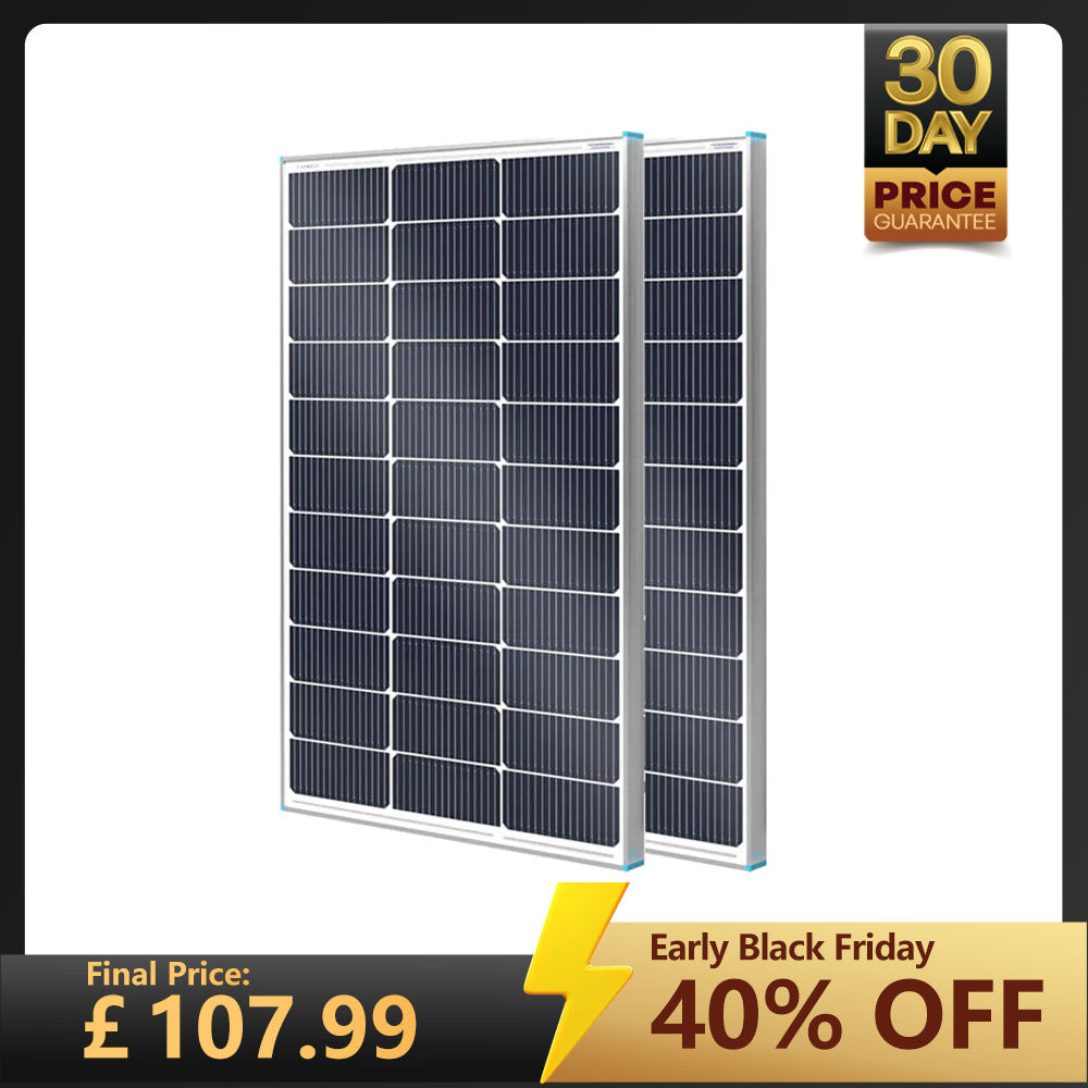 16BB N-Type 100W Solar Panel