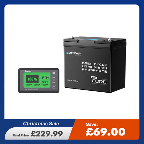 Core Mini- 12.8V 100Ah Lithium Iron Phosphate Battery