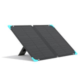 Renogy 80W 12V Portable Solar Panel for Power Station Mono