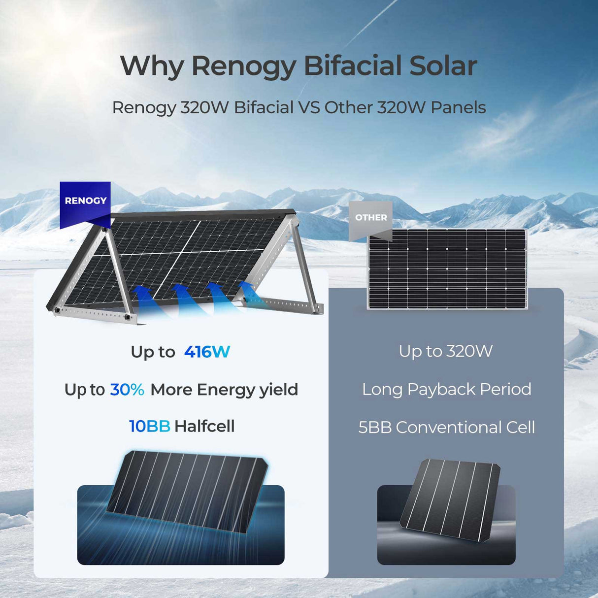 320W N-Type Bifacial Solar Panel (2-Pack)