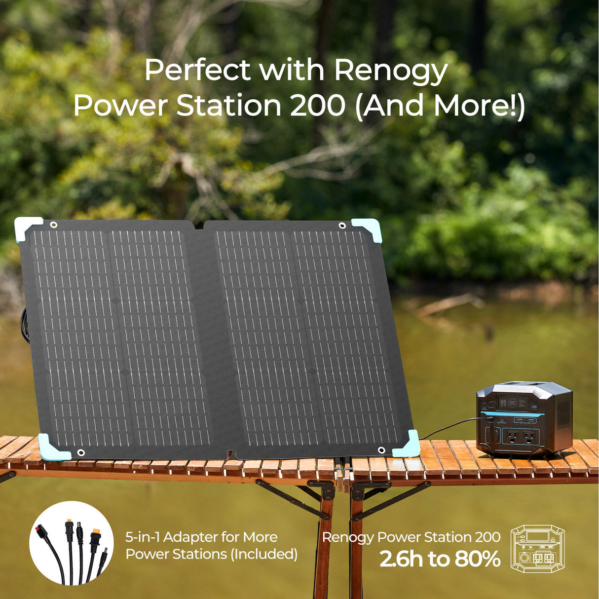 Renogy 80W 12V Portable Solar Panel for Power Station Mono