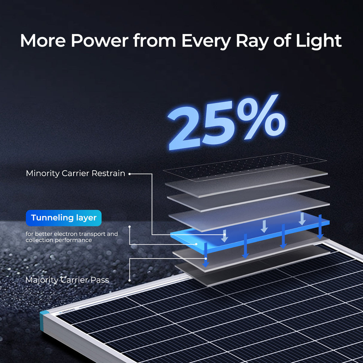 Renogy 16BB N-Type 175 Watt 12V Solar Panel