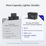 Core Mini - 12.8V 300Ah Lithium Iron Phosphate Battery with 500A Monitor