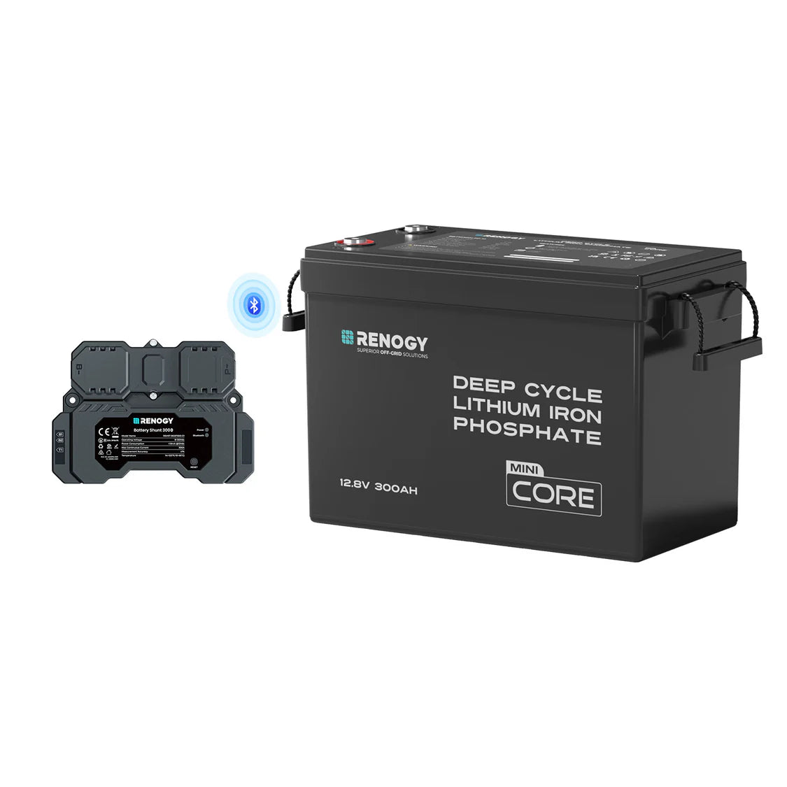 Renogy deep cycle lithium iron phosphate battery with Shunt Monitor