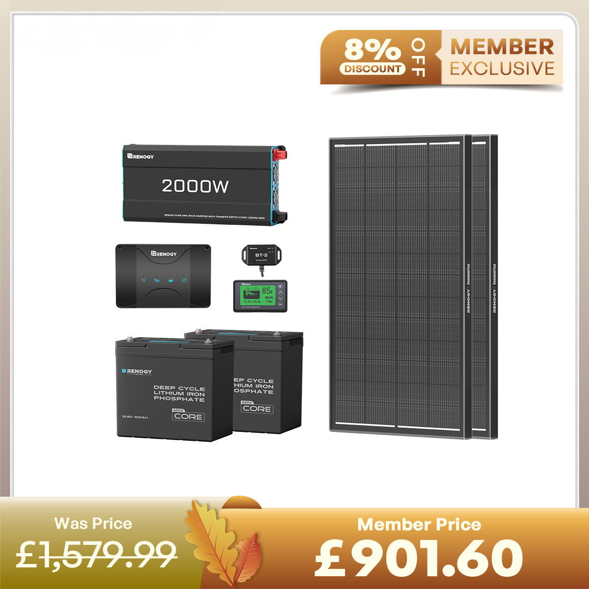 2.56kWh Motorhome Power Kit | 2 Pack 100Ah LiFePO4 Battery, 2000W Inverter
