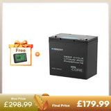 Core Mini- 12.8V 100Ah Lithium Iron Phosphate Battery