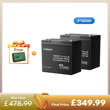 Core Mini- 12.8V 100Ah Lithium Iron Phosphate Battery