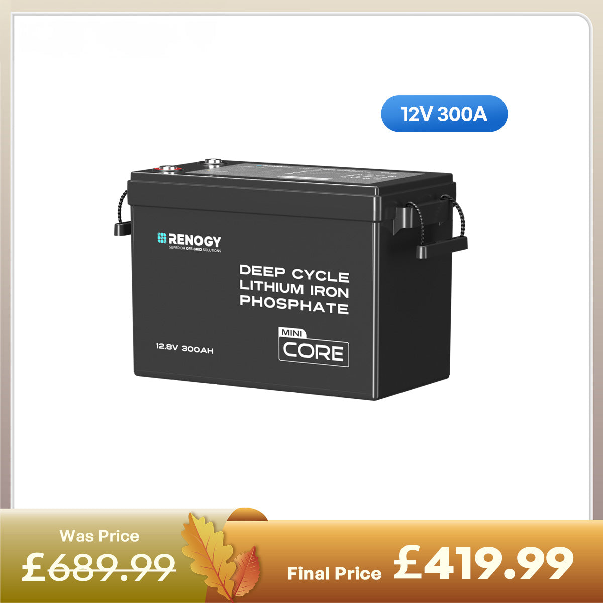 Core Mini - 12.8V 300Ah Lithium Iron Phosphate Battery