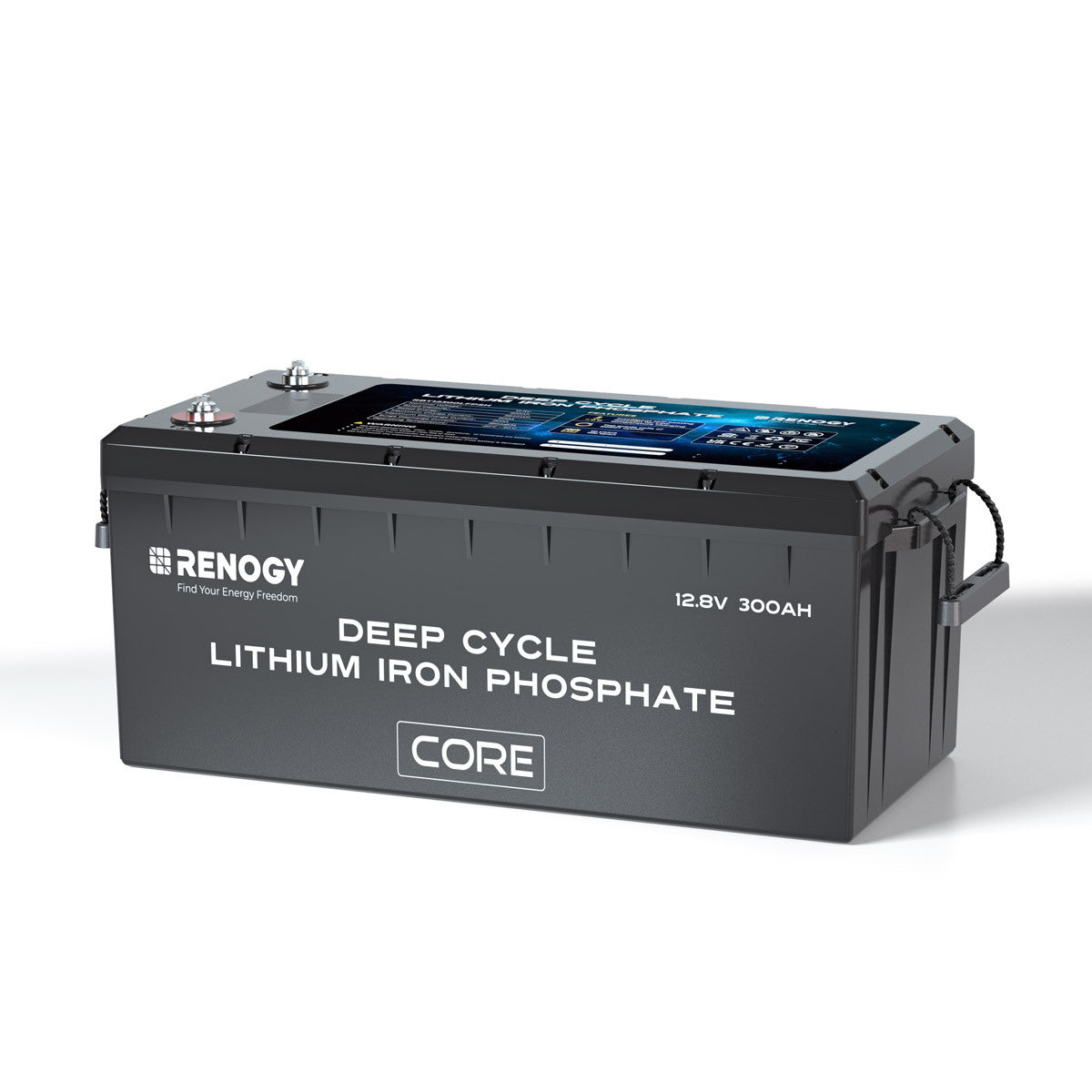 12V 300Ah Deep Cycle Lithium Iron Phosphate Battery | Renogy UK