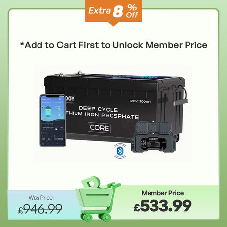 Core - 12V 300Ah Core Series Deep Cycle Lithium Iron Phosphate Battery w/Self-Heating