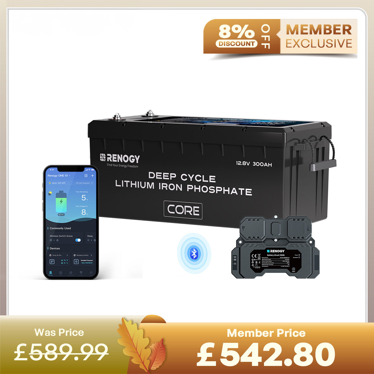 Core 12V 300Ah Core Series Deep Cycle Lithium Iron Phosphate Battery w Self Heating