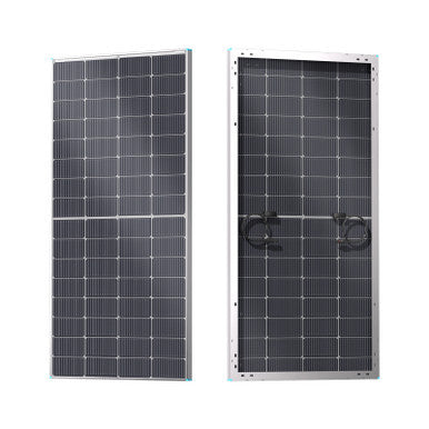 Open Box - Renogy 16BB N-Type 250 Watt Solar Panel