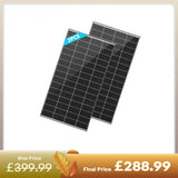 N-Type 320W Monocrystalline Solar Panels (2-Pack)