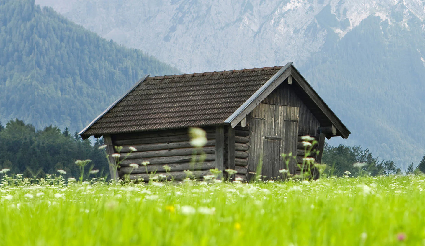 Shed
