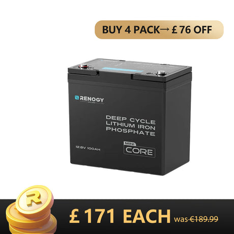 Core Mini- 12.8V 100Ah Lithium Iron Phosphate Battery